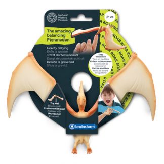 Natural History Museum The Amazing Balancing Pteranodon