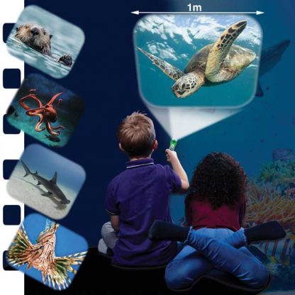 Natural History Museum Sea Creatures Torch and Projector - Image 3