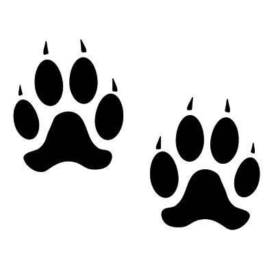 Animal-tracks-400pix