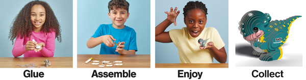 EUGY Pachycephalo - Image 6