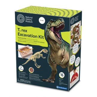 T.Rex Excavation Kit